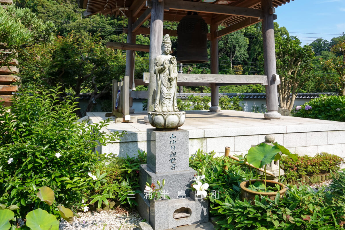 妙音寺・山ゆり観世音(撮影日:2026.06.13)