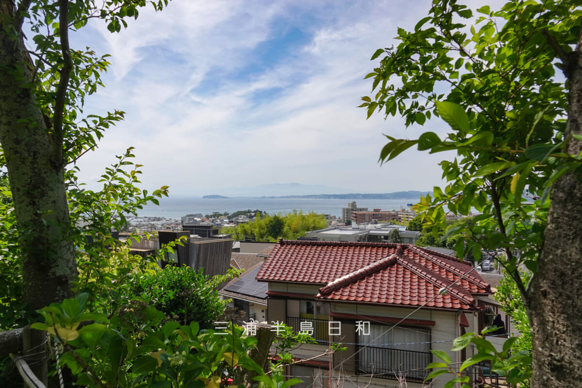 あじさい公園・中段の広場からの眺望（撮影日：2026.06.01）