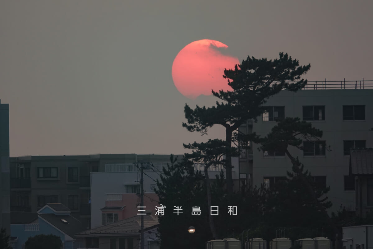 一色海岸から見た葉山海岸HANABI-一色会場の日の夕日[アップ]（撮影日：2026.07.22）