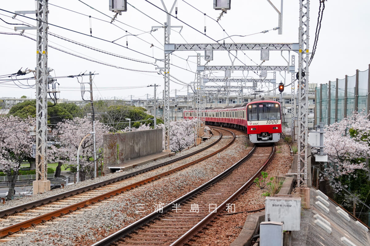 新大津駅に入線する京急新1000形電車(撮影日:2026.04.05)