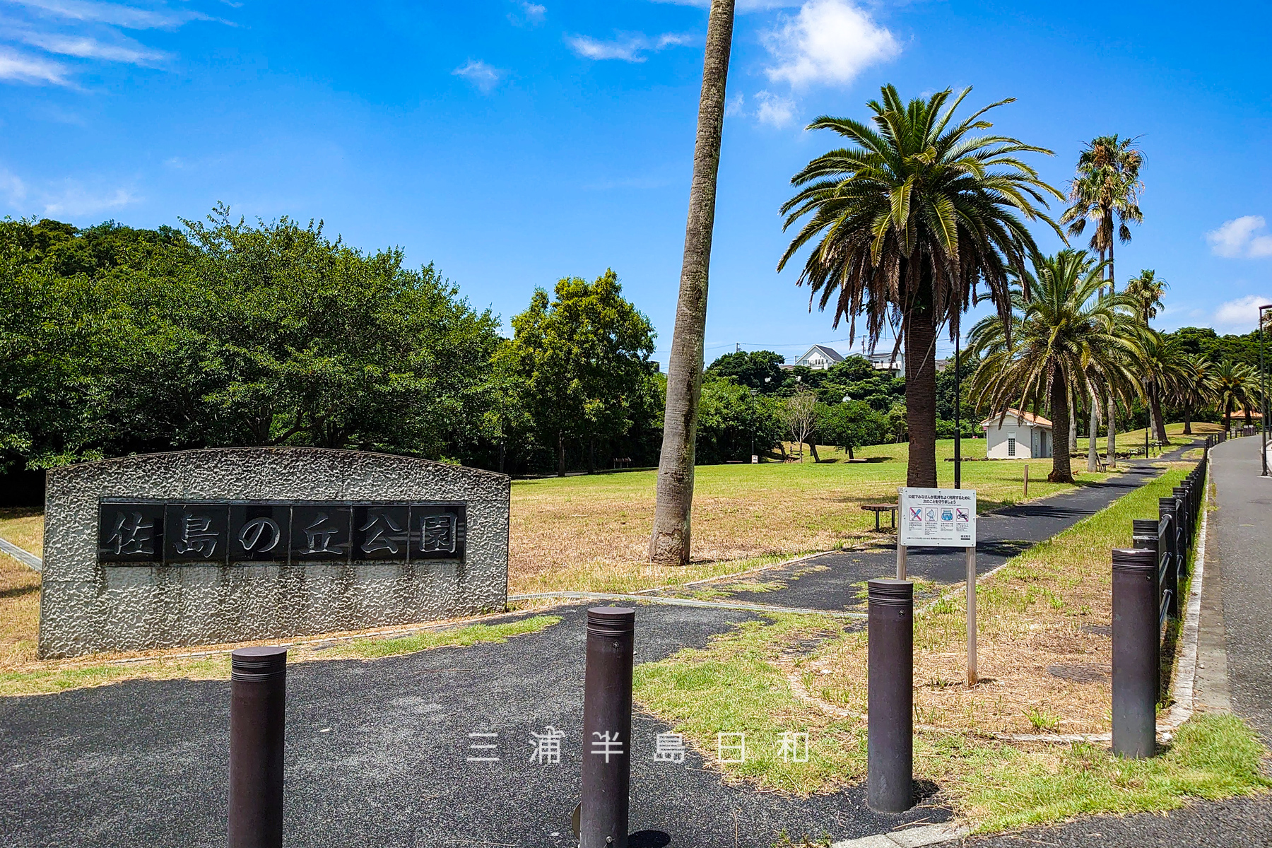 佐島の丘公園（撮影日：2023.07.06）