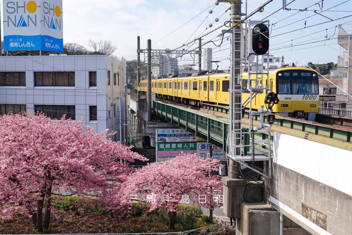 三浦海岸駅・三崎口駅方面より入線する京急新1000形イエローハッピートレイン(撮影日:2022.03.04)