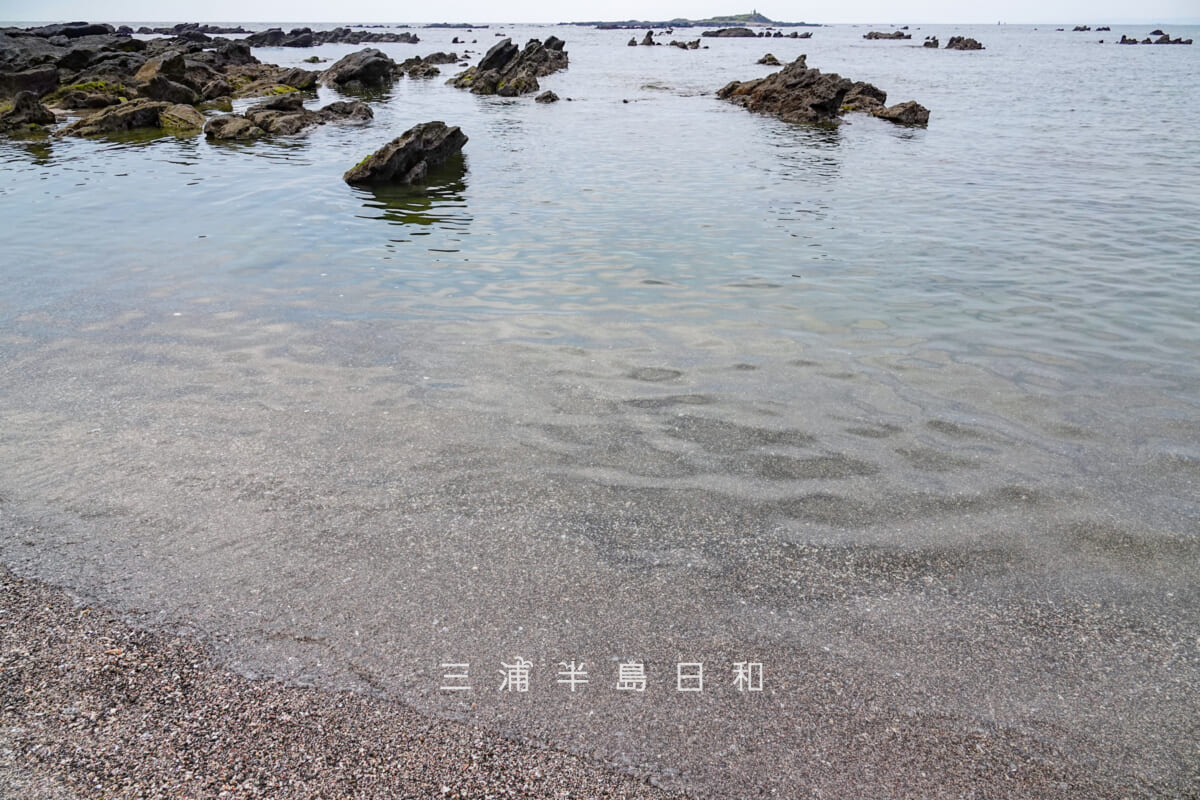 天神島臨海自然教育園・波打ち際[アップ]（撮影日：2026.07.31）