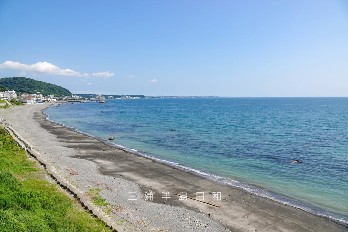大崩海岸より秋谷、佐島方面を望む(撮影日:2019.08.03)