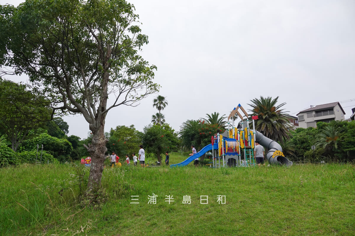 佐島の丘公園・子ども向け遊具（撮影日：2026.07.01）