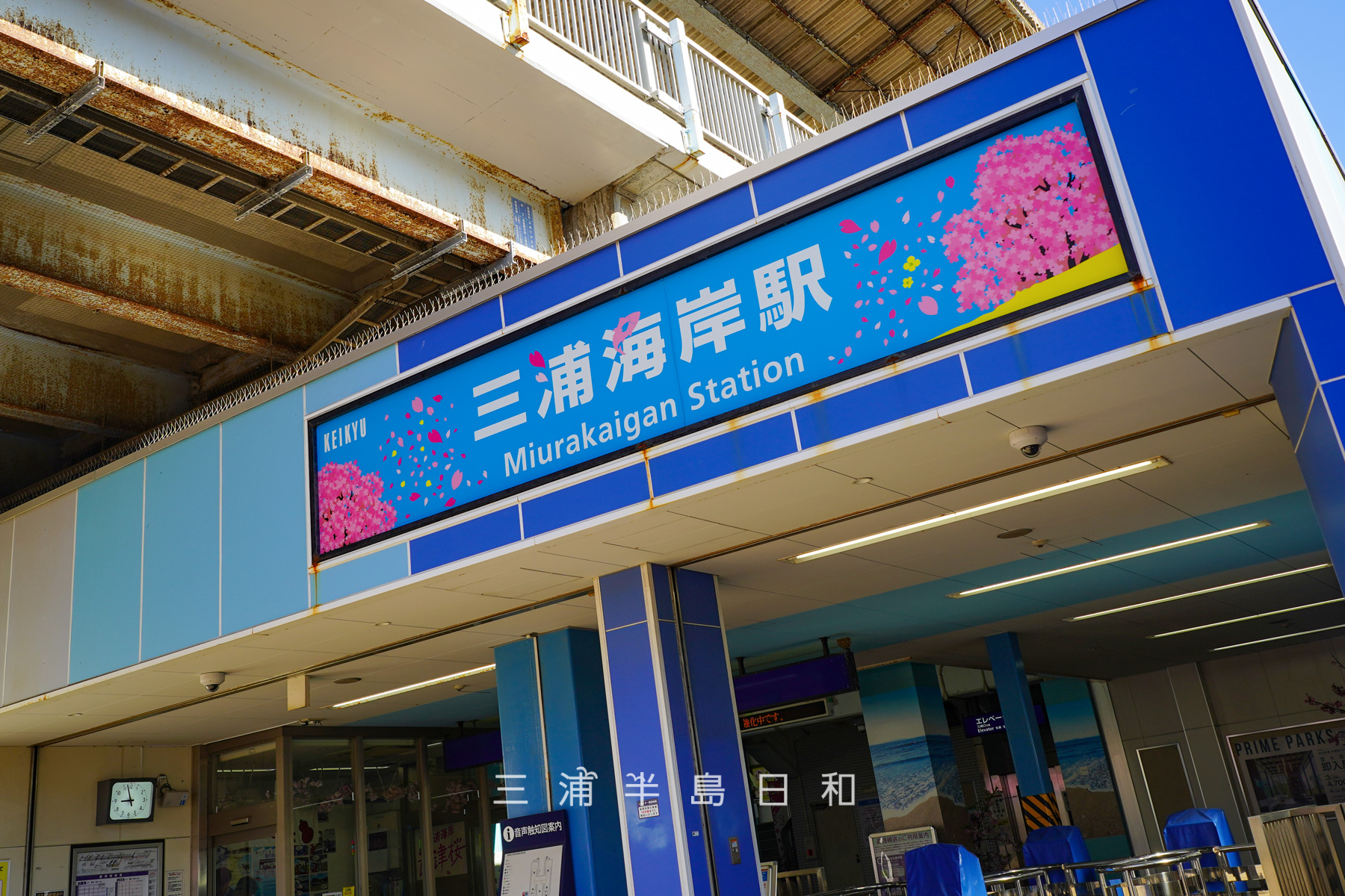 三浦海岸駅・桜まつりデザインの駅名看板（撮影日：2026.02.19）