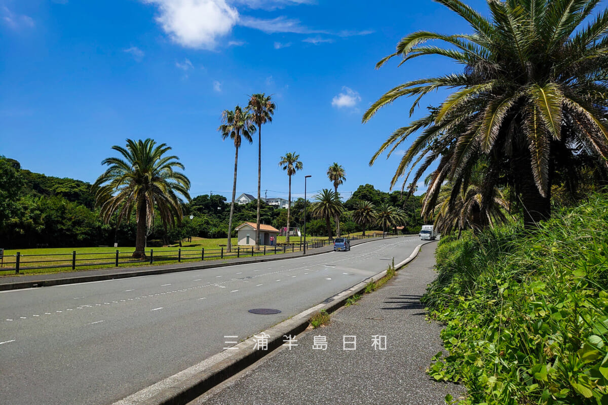 佐島の丘公園・県道越しに望む（撮影日：2023.07.06）
