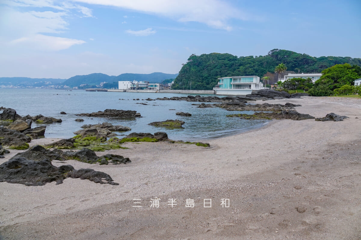 天神島臨海自然教育園・夏の磯浜(撮影日:2026.07.31)