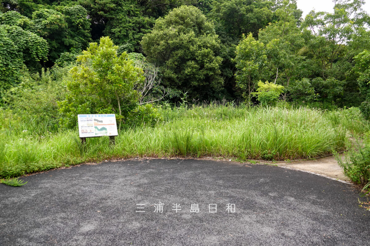 佐島の丘公園・自然観察エリアの広場（撮影日：2026.07.01）