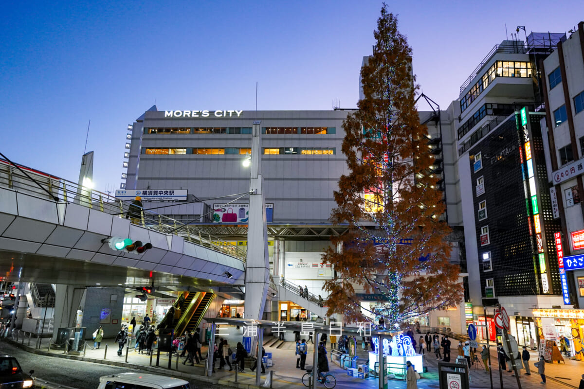 横須賀中央駅・冬の夕暮れのメタセコイア(撮影日:2022.12.15)