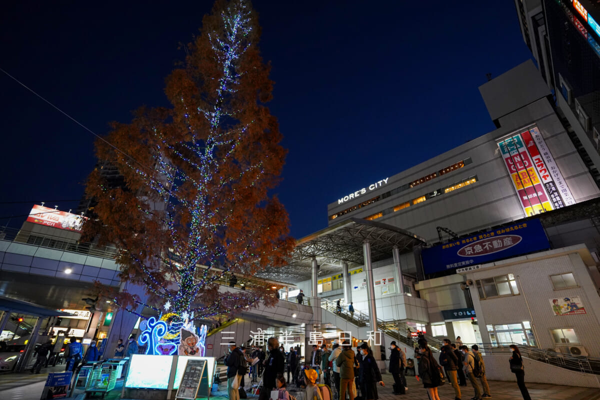 横須賀中央駅・東口駅前広場に立つメタセコイアのライトアップ（撮影日：2022.12.15）