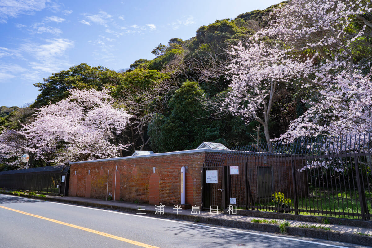 旧横須賀軍港水道-走水水源地煉瓦造貯水池[北西側から]（撮影日：2022.03.28）