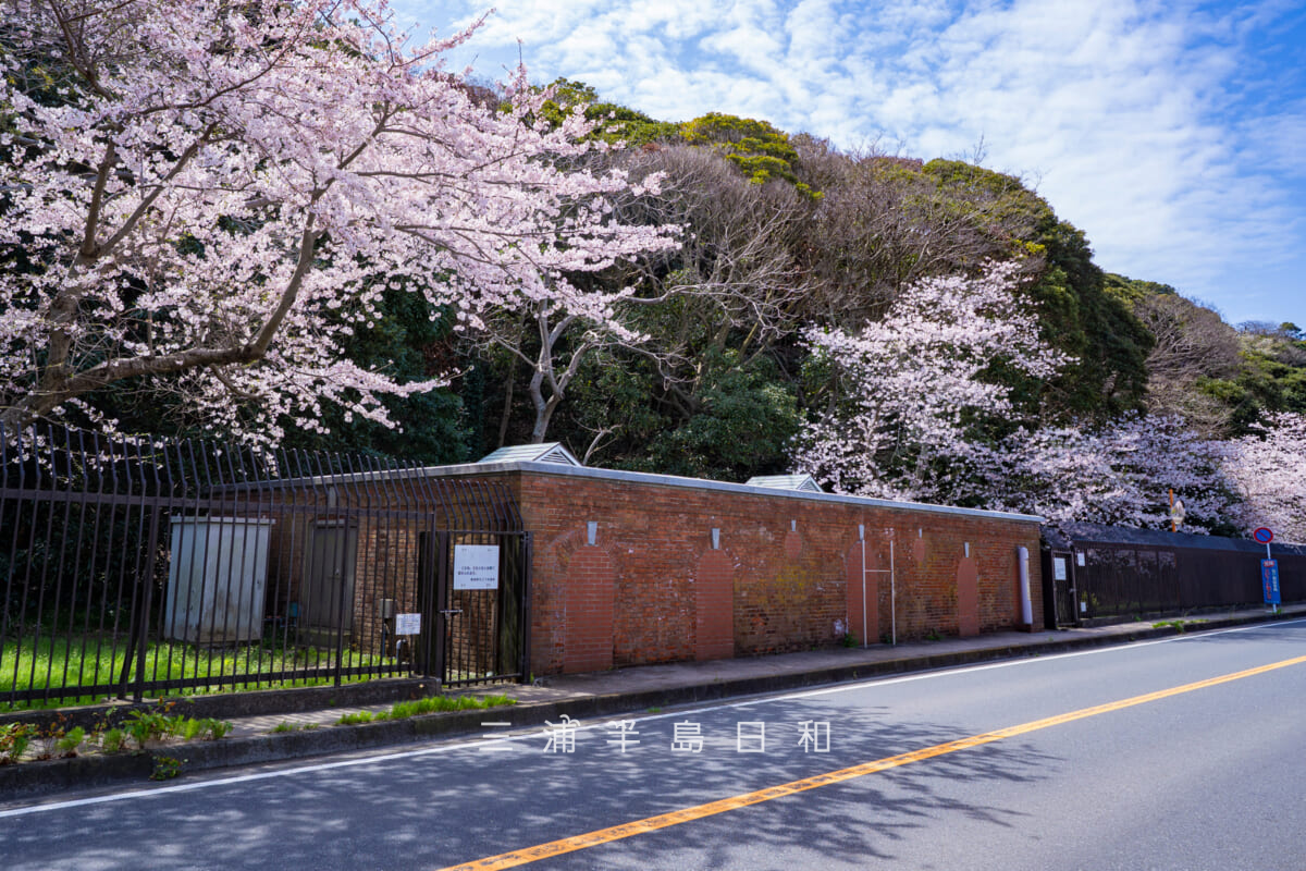 旧横須賀軍港水道-走水水源地煉瓦造貯水池[北東側から]（撮影日：2022.03.28）