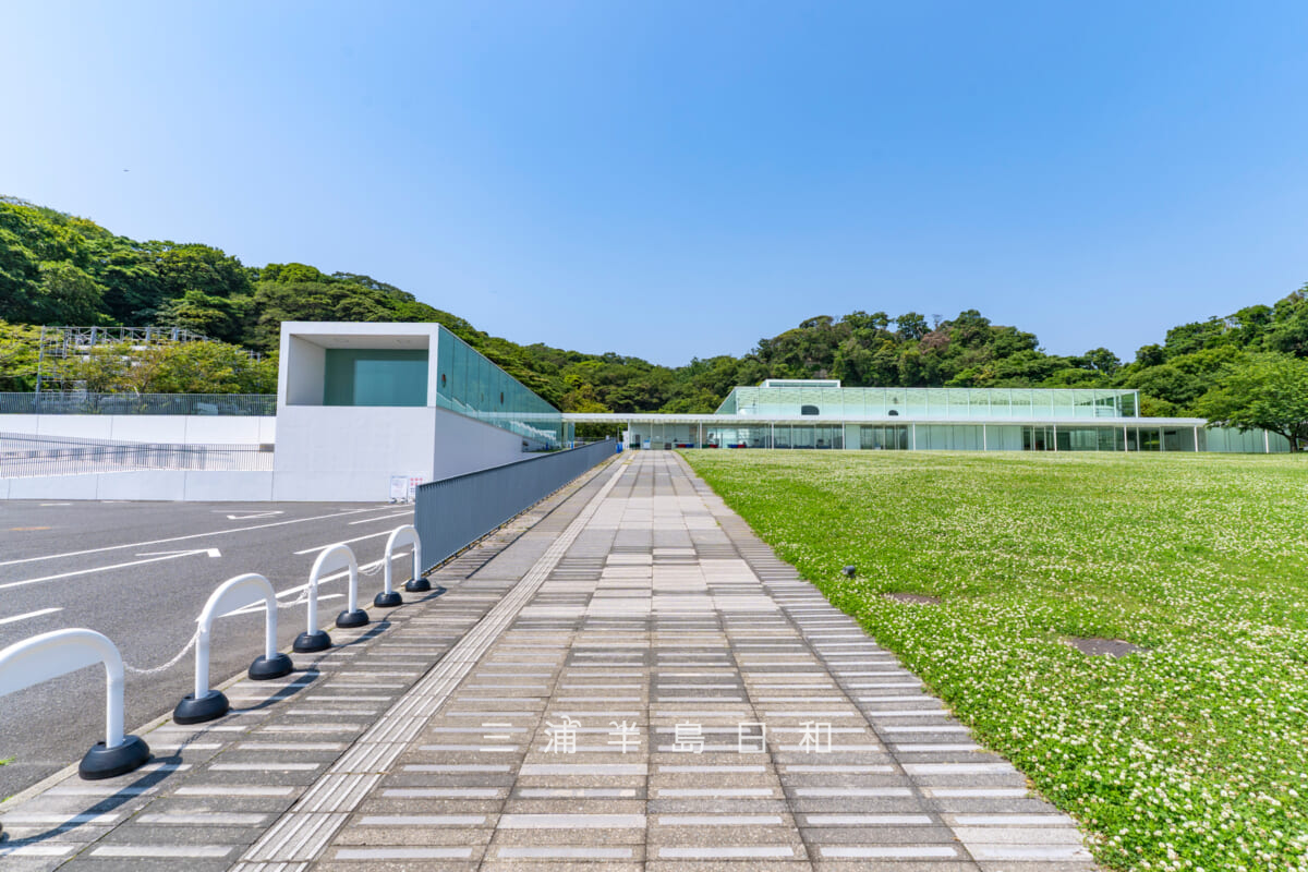 横須賀美術館・海の広場から本館へと続くアプローチ(撮影日:2026.06.12)