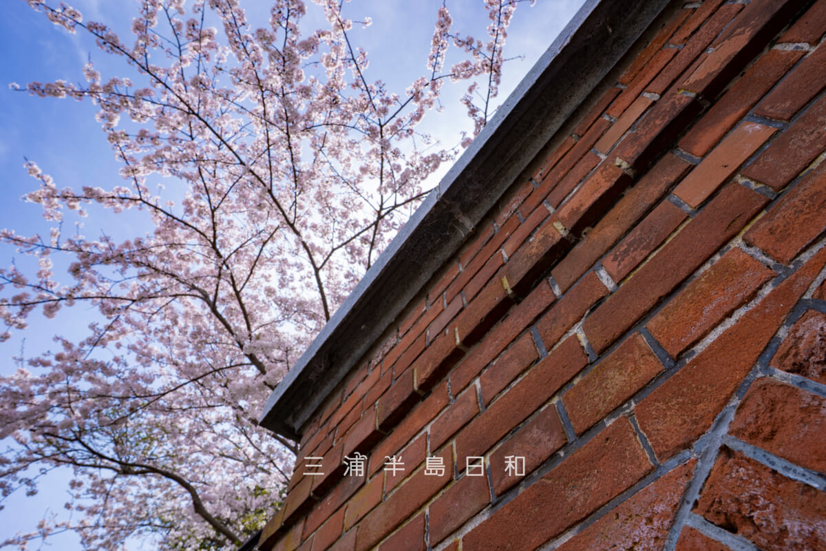 旧横須賀軍港水道-走水水源地煉瓦造貯水池・上屋の北東上部アップ(撮影日:2022.03.28)