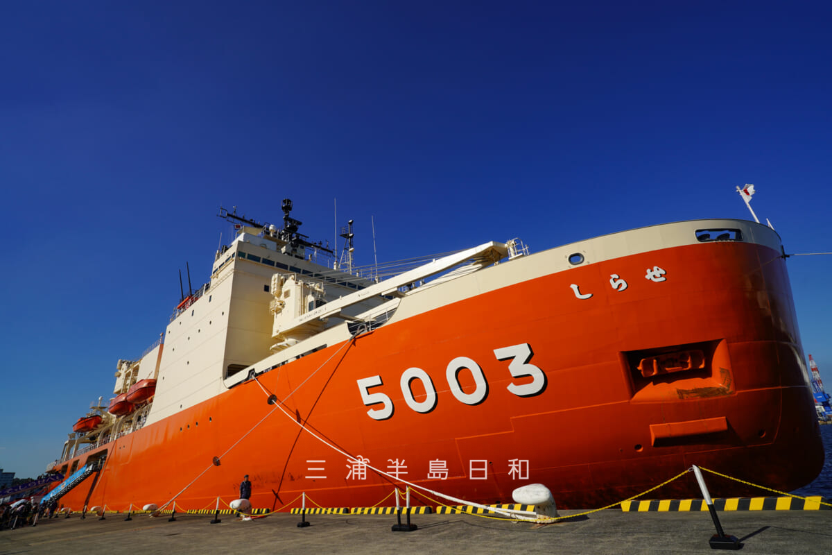 海上自衛隊横須賀地方隊オータムフェスタ2026・砕氷艦（南極観測船）「しらせ」[アップ]（撮影日：2026.10.10）