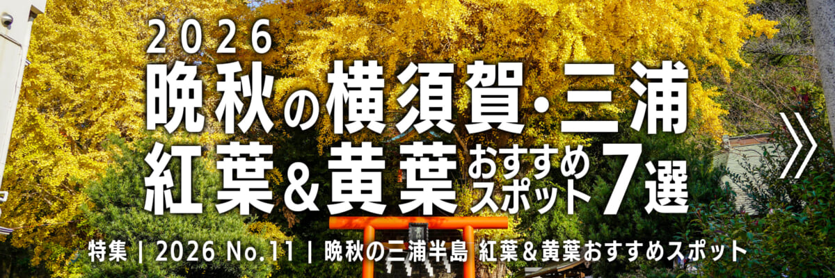 【2026 No.11】特集 | 晩秋の横須賀三浦・紅葉＆黄葉