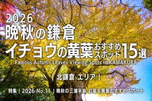 2026晩秋の鎌倉・イチョウの黄葉おすすめスポット15選【北鎌倉エリア】