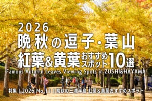2026晩秋の逗子・葉山 紅葉＆黄葉おすすめスポット10+1選