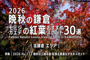 2026晩秋の鎌倉・モミジ＆カエデの紅葉おすすめスポット30選【北鎌倉エリア】