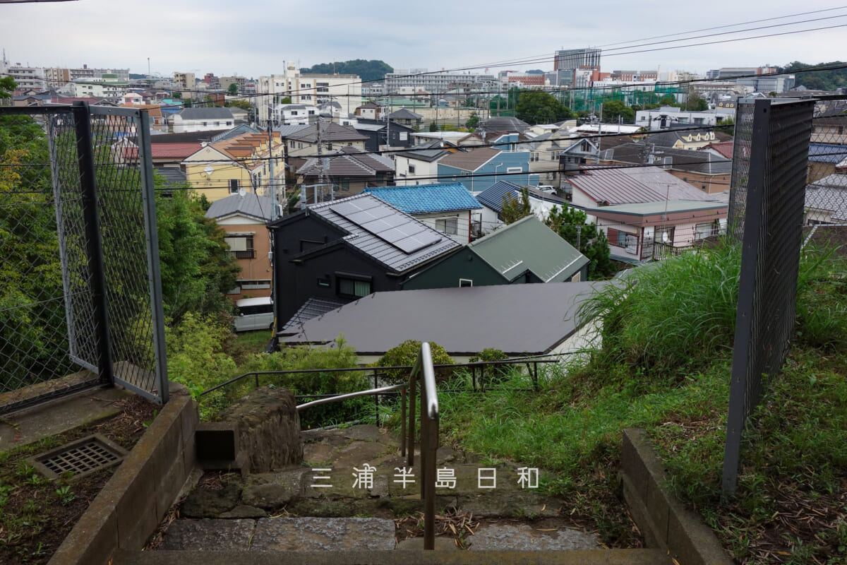 浅間神社(六浦南)・参道の石段上部より野島方面を望む(撮影日:2026.10.02)