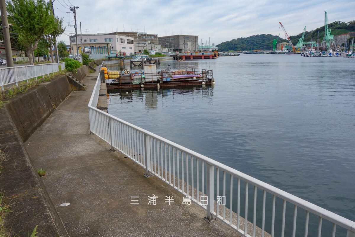 深浦湾堤防・深浦漁港隣りの湾内最奥付近（撮影日：2026.10.06）