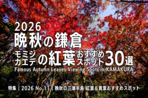 2026晩秋の鎌倉・モミジ＆カエデの紅葉おすすめスポット30選