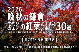 2026晩秋の鎌倉・モミジ＆カエデの紅葉おすすめスポット30選【扇ガ谷・長谷エリア】