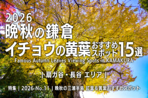 2026晩秋の鎌倉・イチョウの黄葉おすすめスポット15選【扇ガ谷・長谷エリア】