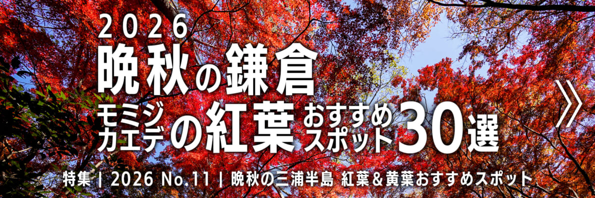 【2026 No.11】特集 | 晩秋の鎌倉・モミジの紅葉