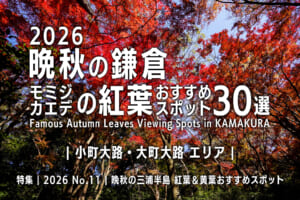 2026晩秋の鎌倉・モミジ＆カエデの紅葉おすすめスポット30選【小町大路・大町大路エリア】