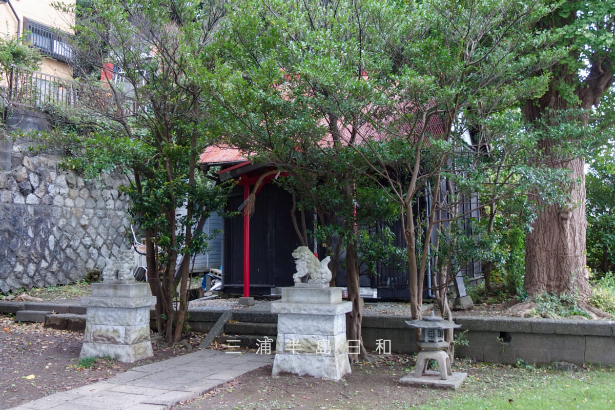 浅間神社(六浦南)・社殿(撮影日:2026.10.02)
