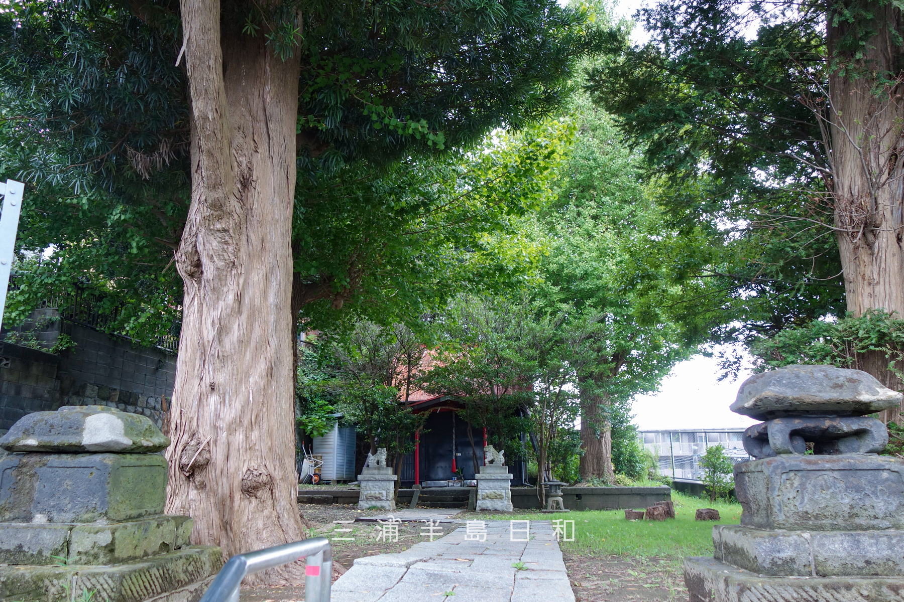 浅間神社（六浦南）（撮影日：2026.10.02）