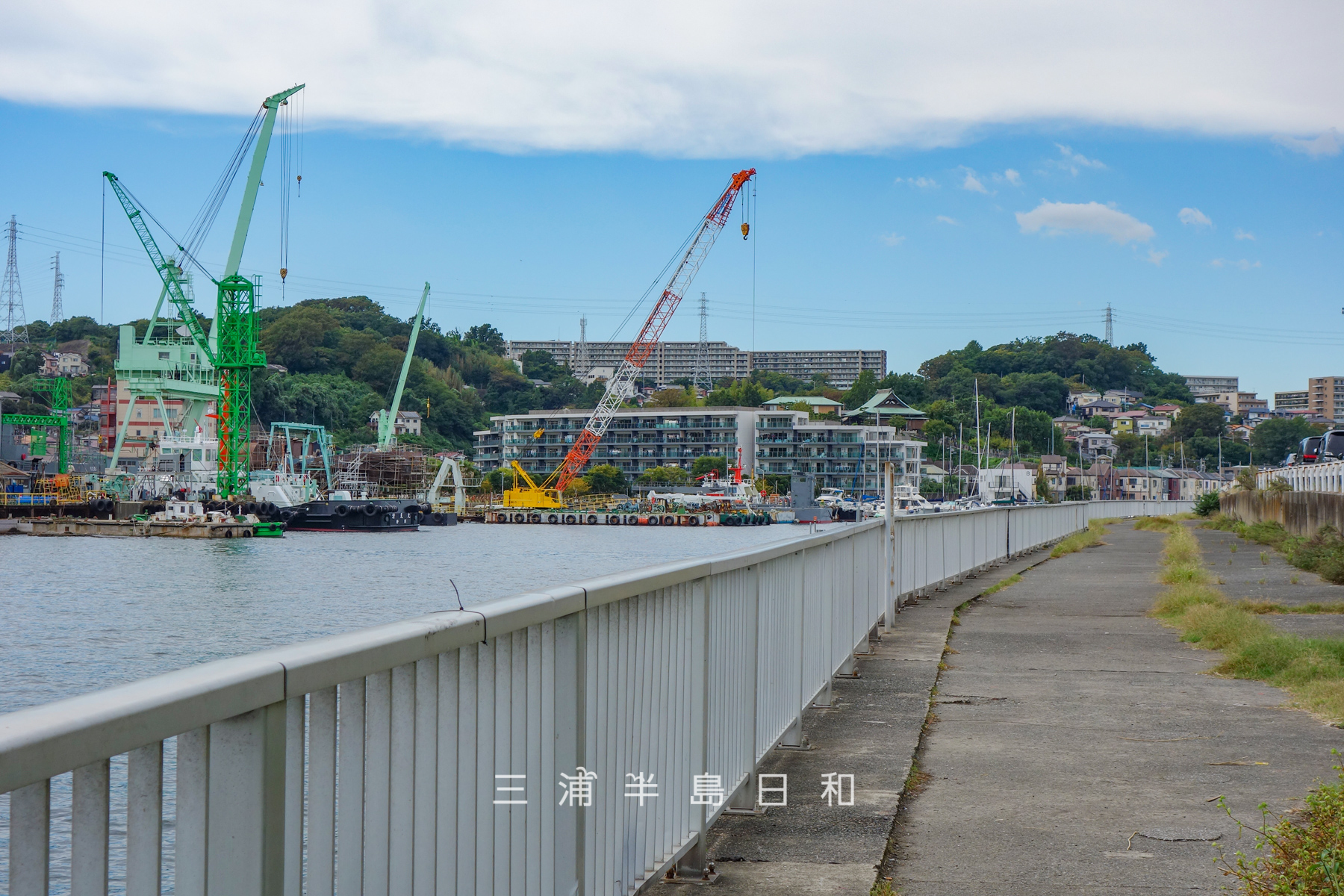 深浦湾堤防・北岸より京浜ドック方面を望む（撮影日：2026.10.06）