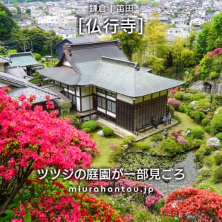 海獺島（海鹿島、アシカ島）| 久里浜沖の徳川埋蔵金伝説が残る早
