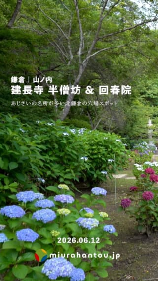 まんだら堂やぐら群 | 150穴以上が集合住宅のように重なる鎌倉・逗子